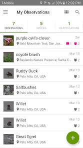 iNaturalist screenshot