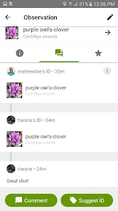 iNaturalist screenshot
