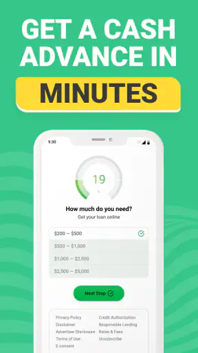 Instant Cash Advance screenshot