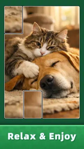 Jigsaw Puzzle Art: Relax Book screenshot