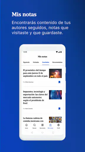 LA NACION screenshot