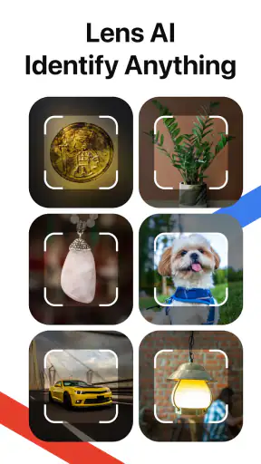 Lens AI: Identify Anything screenshot