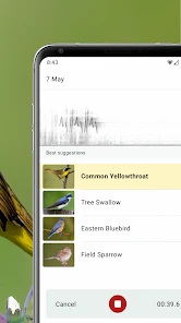 Merlin Bird ID by Cornell Lab screenshot