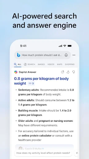 Microsoft Bing Search screenshot