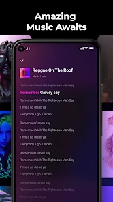 Music Echo-Offline Music screenshot