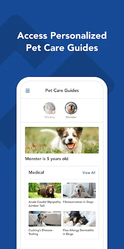 myVCA screenshot