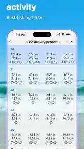 Nautide: Tides, Wind, Waves + screenshot