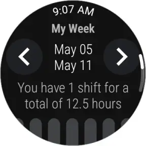 NurseGrid: Nursing Calendar screenshot