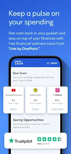 OneMain Financial screenshot