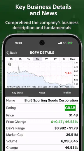 PennyGems: Screen Penny Stocks screenshot