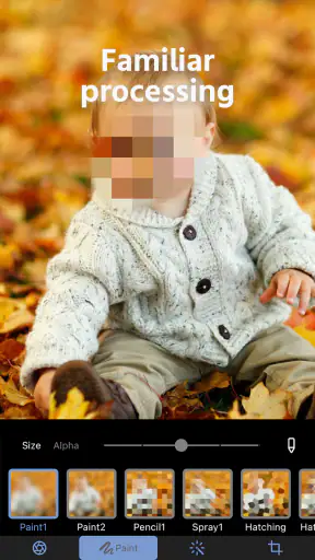 Photo Blur & Mosaic Effects screenshot