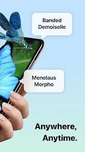 Picture Insect: Bug Identifier screenshot