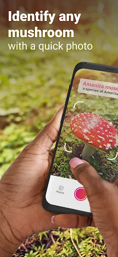 Picture Mushroom - Mushroom ID screenshot