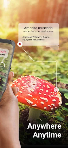 Picture Mushroom - Mushroom ID screenshot