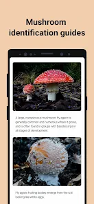 Picture Mushroom - Mushroom ID screenshot