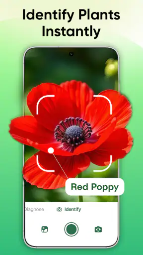 Plant Identifier - Scan & Care screenshot
