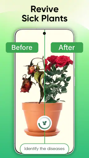 Plant Identifier - Scan & Care screenshot