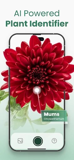 Plantify: AI Plant Identifier screenshot
