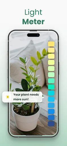 Plantify: AI Plant Identifier screenshot