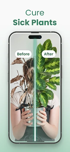 Plantify: AI Plant Identifier screenshot