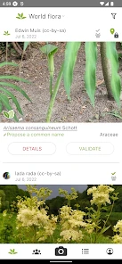 PlantNet Plant Identification screenshot