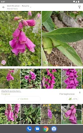 PlantNet Plant Identification screenshot