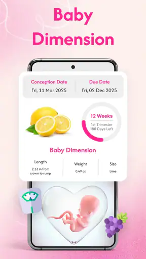 Pregnancy Tracker & Calculator screenshot