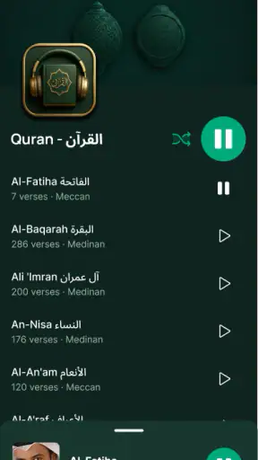 Quran Player Audio Offline screenshot