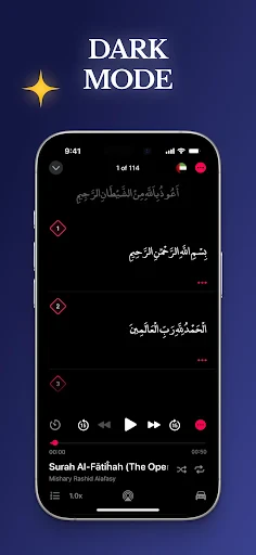 Quran Pro: Read the Holy Quran screenshot