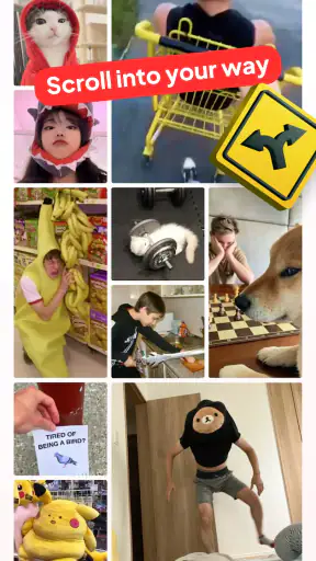 Reelway: feel-good clips screenshot