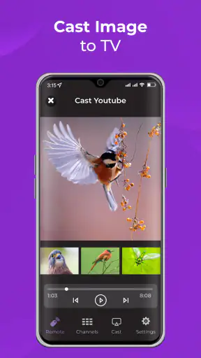 Remote Control for RokuTV screenshot