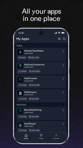 Replit screenshot