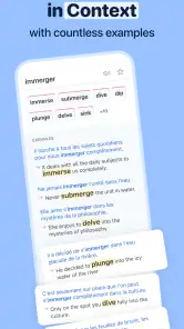 Reverso Translate and Learn screenshot