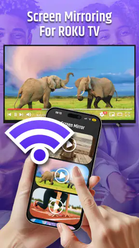 Roku Remote Control & TV Cast screenshot