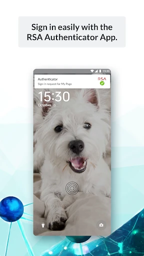 RSA Authenticator (SecurID) screenshot