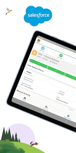 Salesforce screenshot