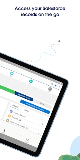 Salesforce screenshot