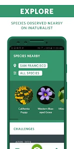 Seek by iNaturalist screenshot