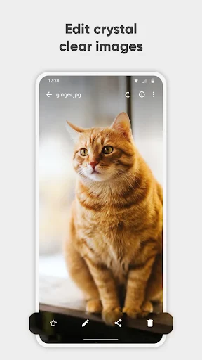 Simple Gallery Pro screenshot