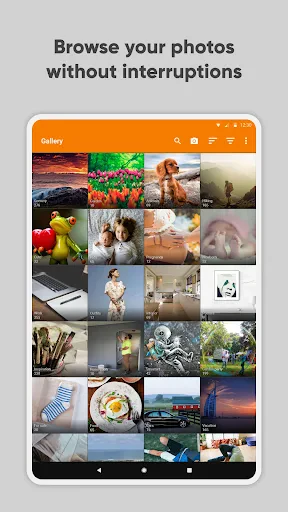Simple Gallery Pro screenshot