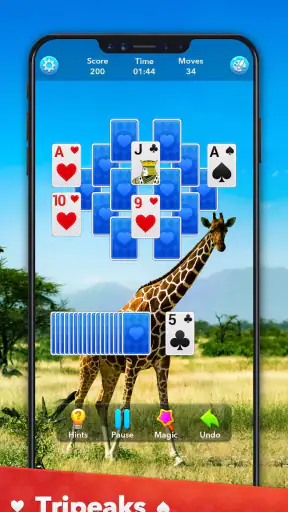 Solitaire Collection screenshot