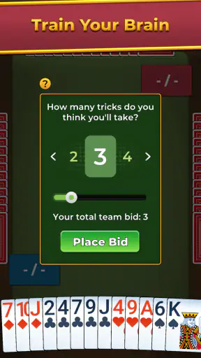 Spades For Seniors: Card Game screenshot