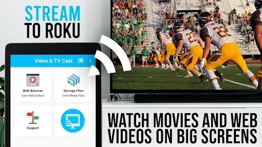 TV Cast Pro for Roku screenshot