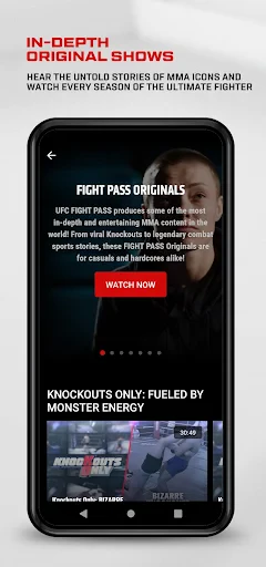 UFC screenshot