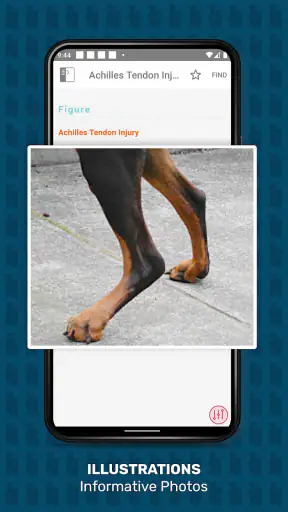 Veterinary Advisor: Dogs Cats screenshot
