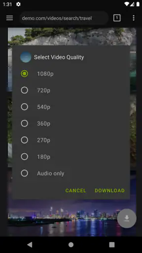 Video Downloader Pro screenshot