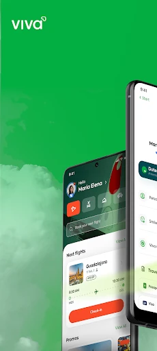 Viva screenshot