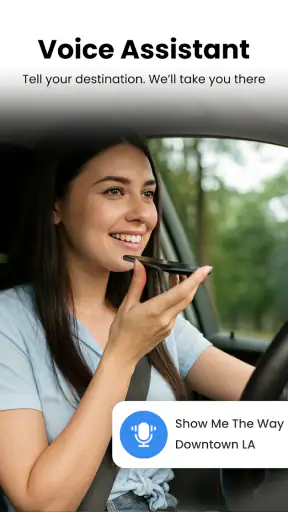 Voice GPS Navigation Direction screenshot