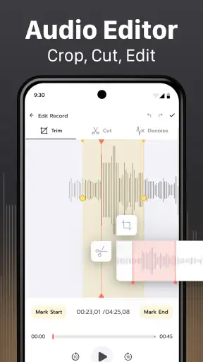 Voice Recorder & Transcriber screenshot