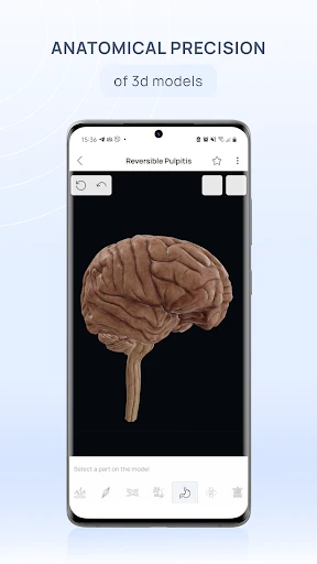 VOKA 3D Anatomy and Physiology screenshot